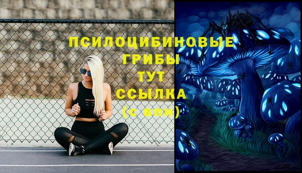 герыч Домодедово