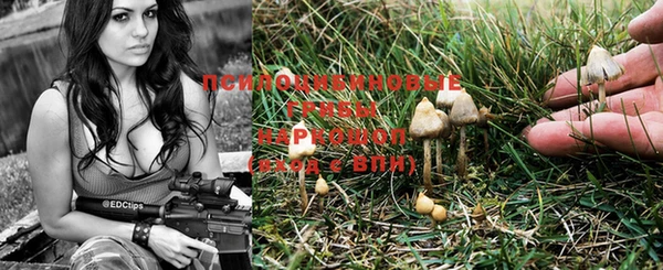 PSILOCYBIN Красноперекопск