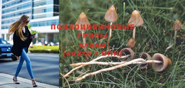 дживик Магадан