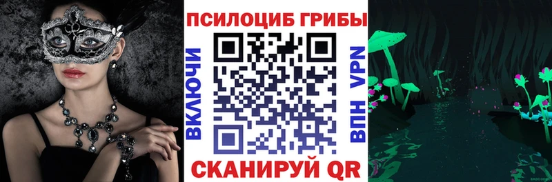кракен ONION  Чулым  Галлюциногенные грибы Psilocybine cubensis 